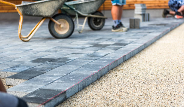 Best Driveway Paving Company  in Forreston, IL