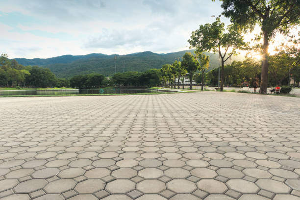 Best Best Driveway Pavers  in Forreston, IL