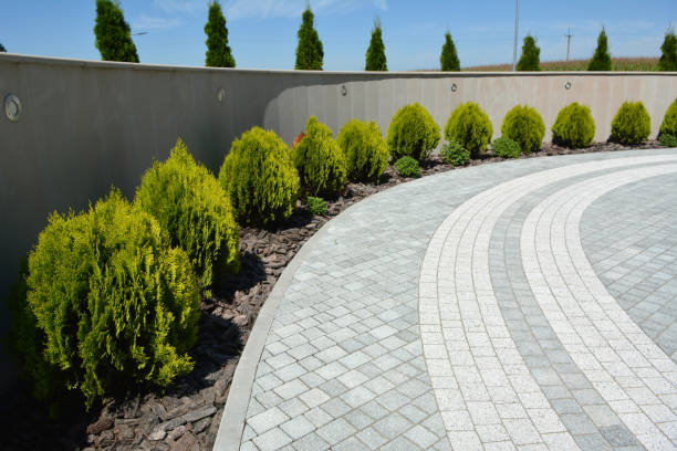 Best Cobblestone Driveway Pavers  in Forreston, IL
